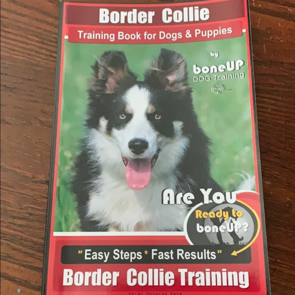 book training border collie